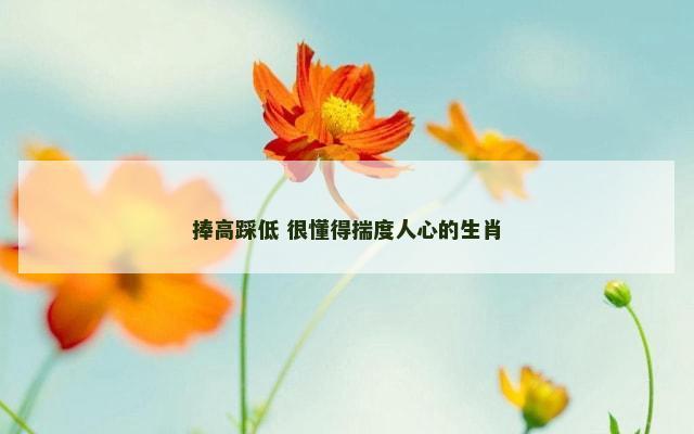 捧高踩低 很懂得揣度人心的生肖