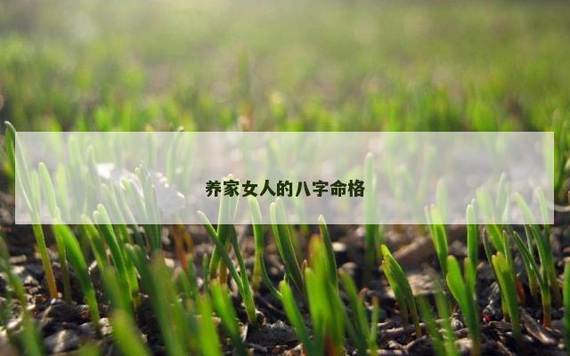 养家女人的八字命格