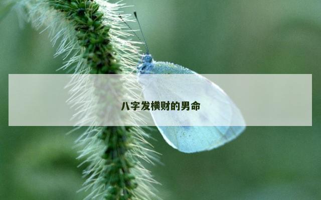 八字发横财的男命