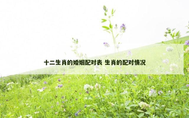 十二生肖的婚姻配对表 生肖的配对情况