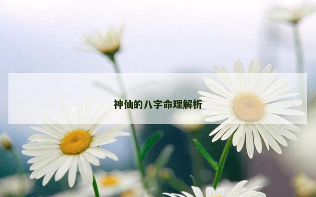 神仙的八字命理解析