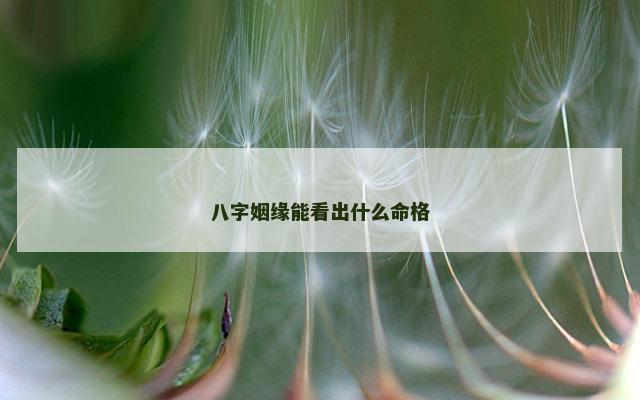 八字姻缘能看出什么命格