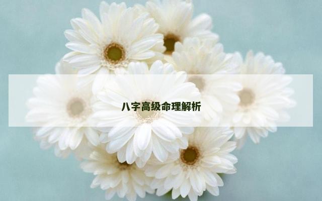 八字高级命理解析