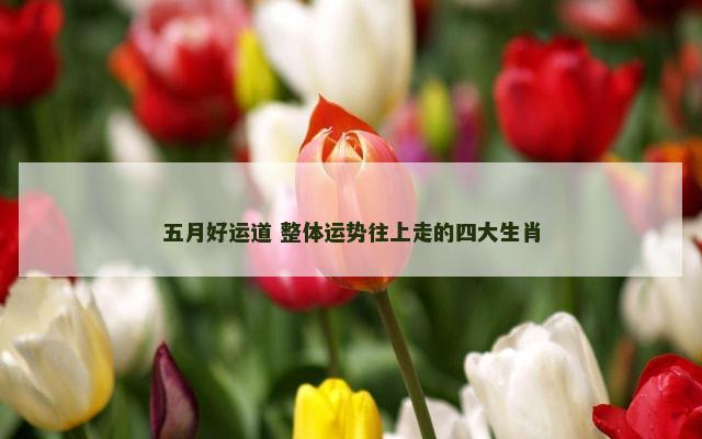 五月好运道 整体运势往上走的四大生肖