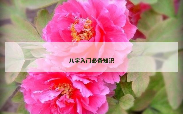 八字入门必备知识