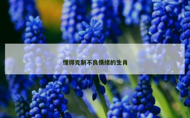 懂得克制不良情绪的生肖
