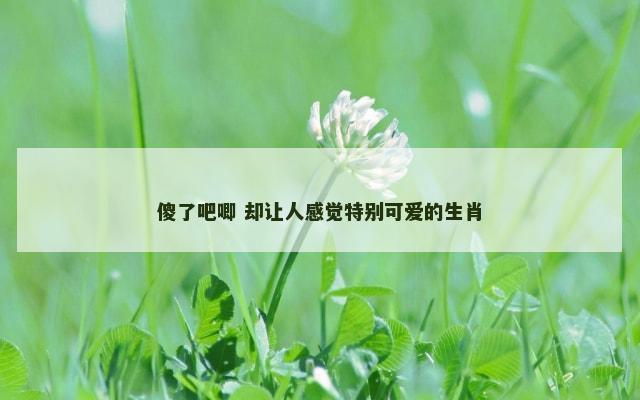 傻了吧唧 却让人感觉特别可爱的生肖
