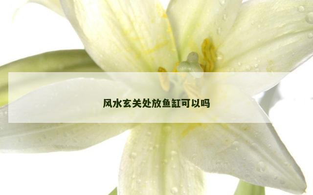 风水玄关处放鱼缸可以吗