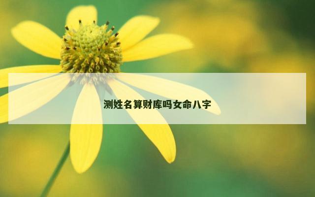 测姓名算财库吗女命八字