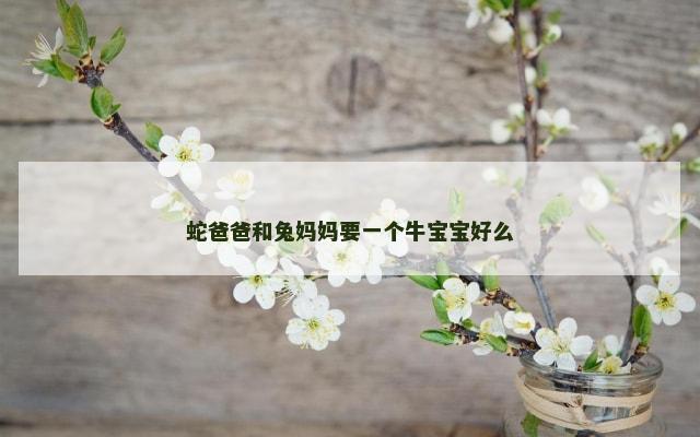 蛇爸爸和兔妈妈要一个牛宝宝好么