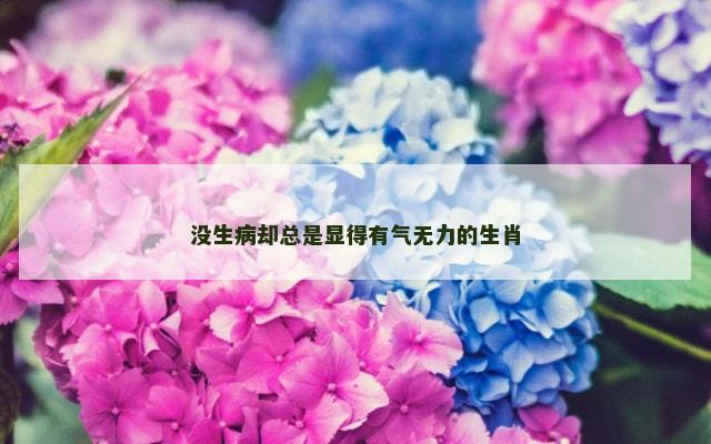 没生病却总是显得有气无力的生肖