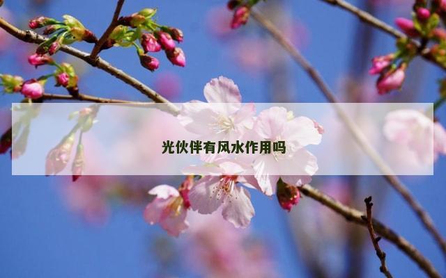 光伙伴有风水作用吗