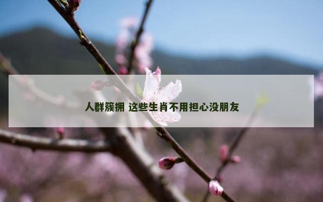 人群簇拥 这些生肖不用担心没朋友