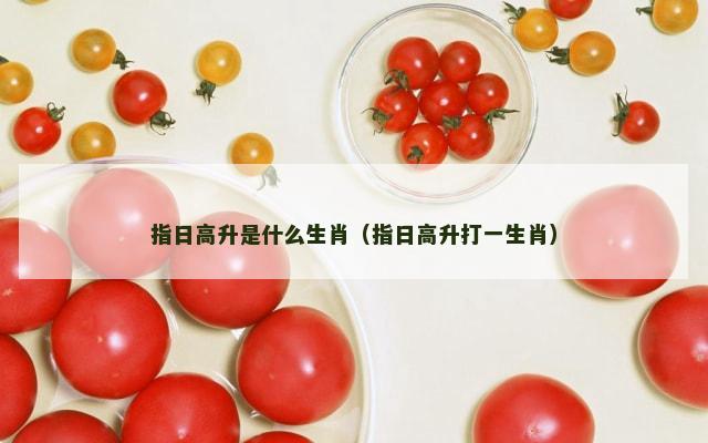 指日高升是什么生肖（指日高升打一生肖）