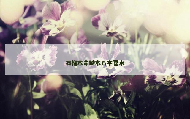 石榴木命缺木八字喜水