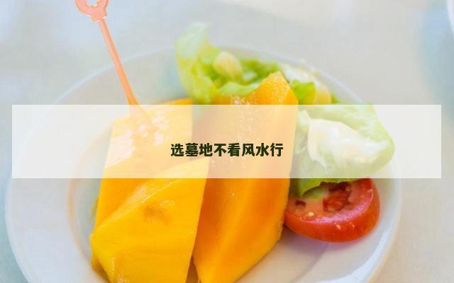 选墓地不看风水行
