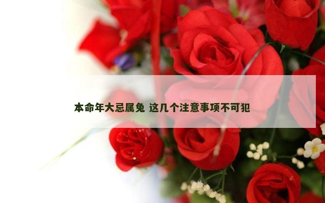 本命年大忌属兔 这几个注意事项不可犯
