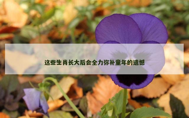 这些生肖长大后会全力弥补童年的遗憾