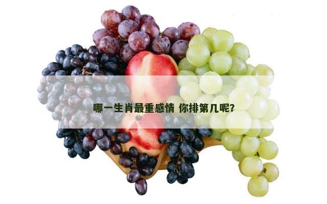 哪一生肖最重感情 你排第几呢？