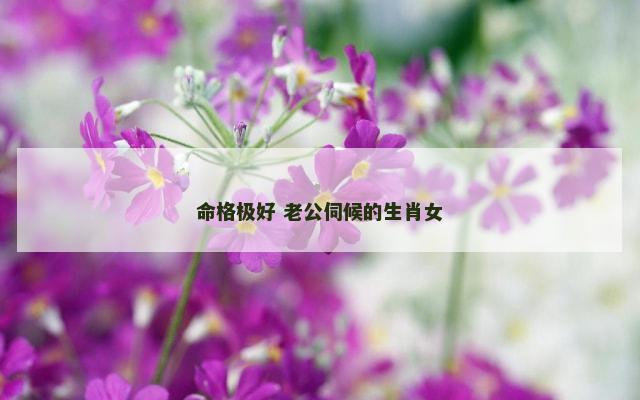 命格极好 老公伺候的生肖女