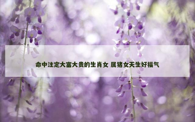 命中注定大富大贵的生肖女 属猪女天生好福气