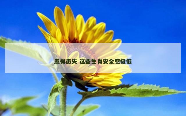 患得患失 这些生肖安全感极低