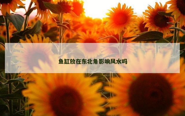 鱼缸放在东北角影响风水吗