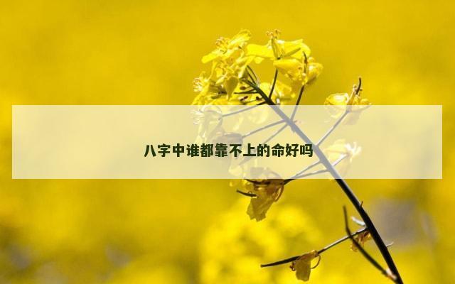 八字中谁都靠不上的命好吗