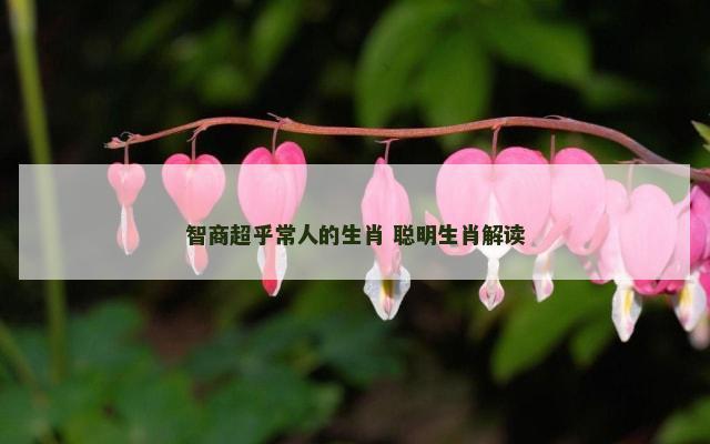 智商超乎常人的生肖 聪明生肖解读