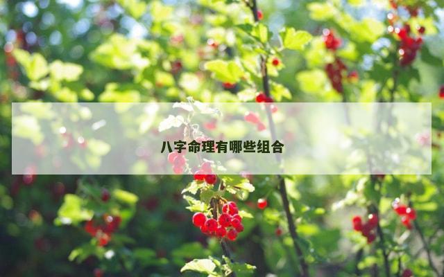 八字命理有哪些组合