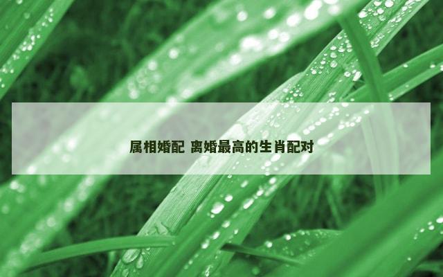 属相婚配 离婚最高的生肖配对
