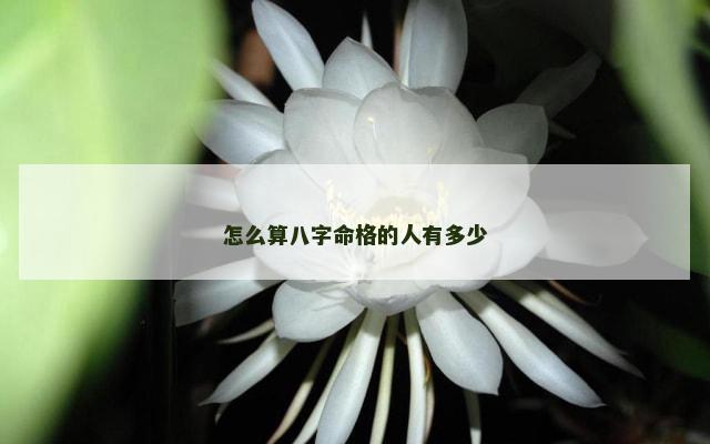 怎么算八字命格的人有多少