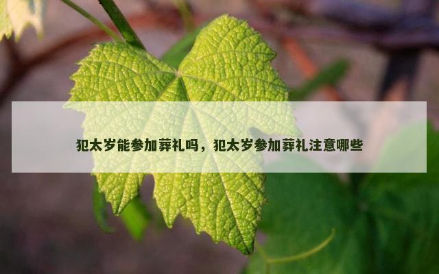 犯太岁能参加葬礼吗，犯太岁参加葬礼注意哪些