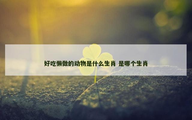 好吃懒做的动物是什么生肖 是哪个生肖