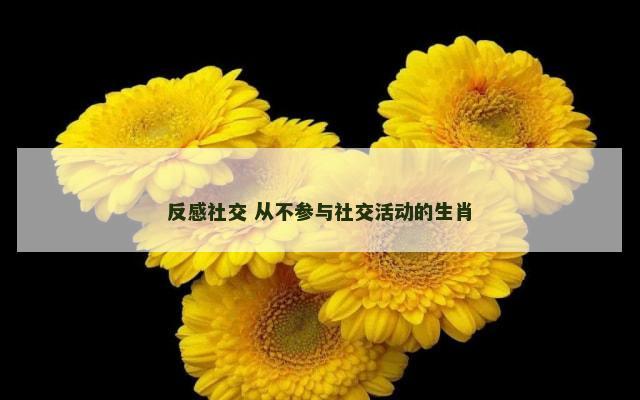 反感社交 从不参与社交活动的生肖