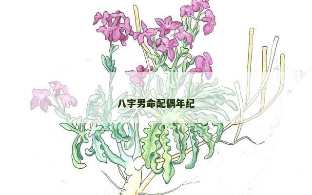 八字男命配偶年纪
