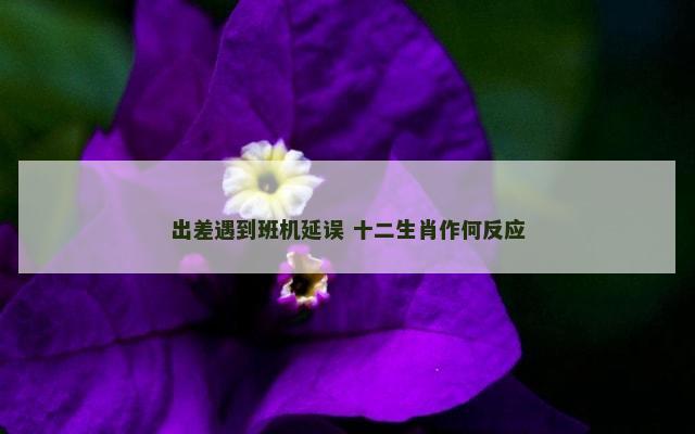 出差遇到班机延误 十二生肖作何反应