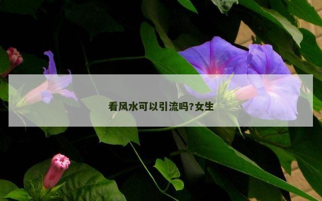 看风水可以引流吗?女生
