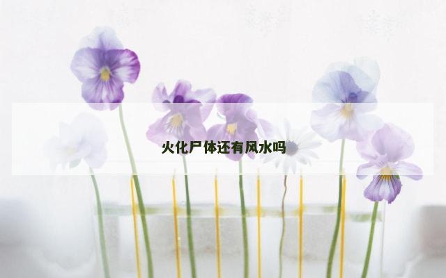火化尸体还有风水吗