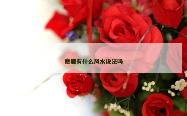 麋鹿有什么风水说法吗