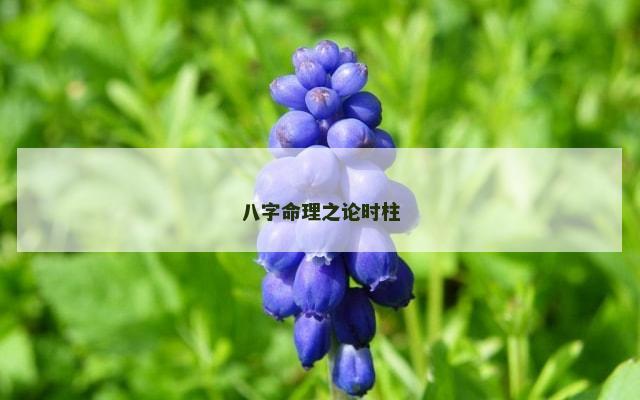 八字命理之论时柱