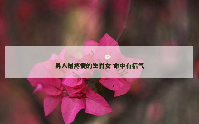 男人最疼爱的生肖女 命中有福气