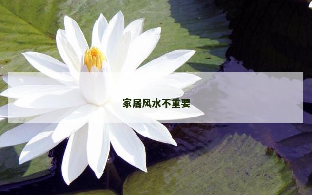 家居风水不重要