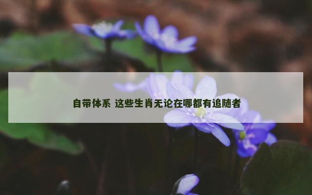 自带体系 这些生肖无论在哪都有追随者