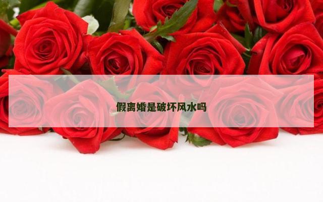 假离婚是破坏风水吗