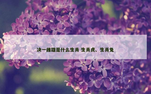 决一雌雄是什么生肖 生肖虎、生肖兔