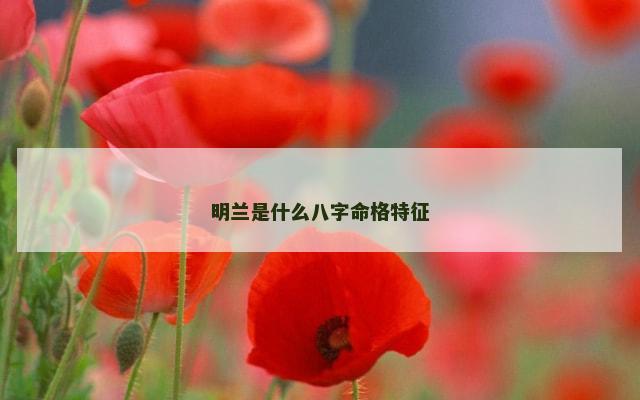 明兰是什么八字命格特征