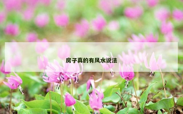 房子真的有风水说法