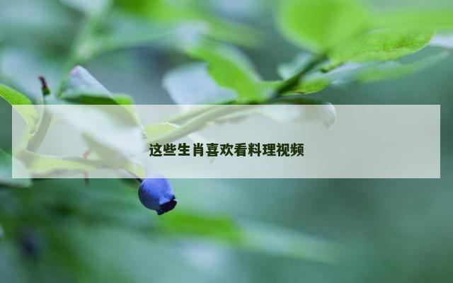 这些生肖喜欢看料理视频