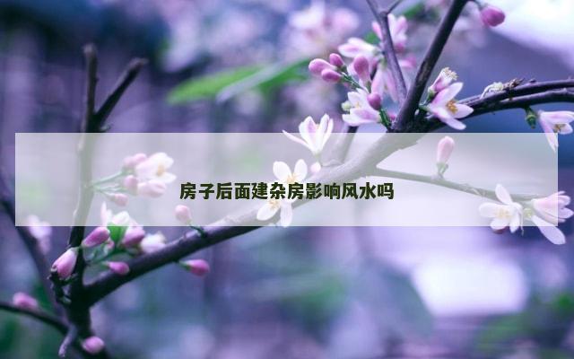 房子后面建杂房影响风水吗
